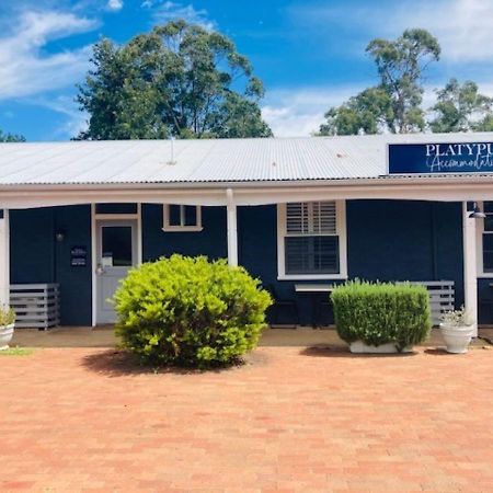 The Platypus Accommodation & Cafe Cudal Esterno foto